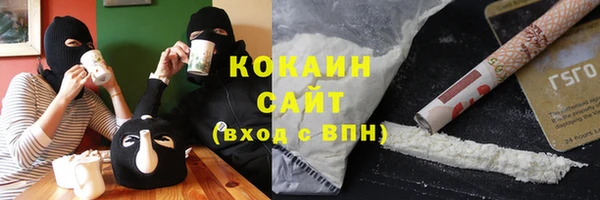 шишки Костерёво