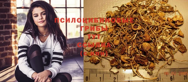 марки lsd Козельск