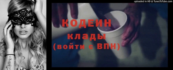 соль ск Кодинск