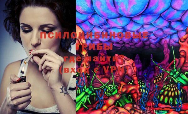 марки lsd Козельск
