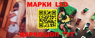 дмт Можга