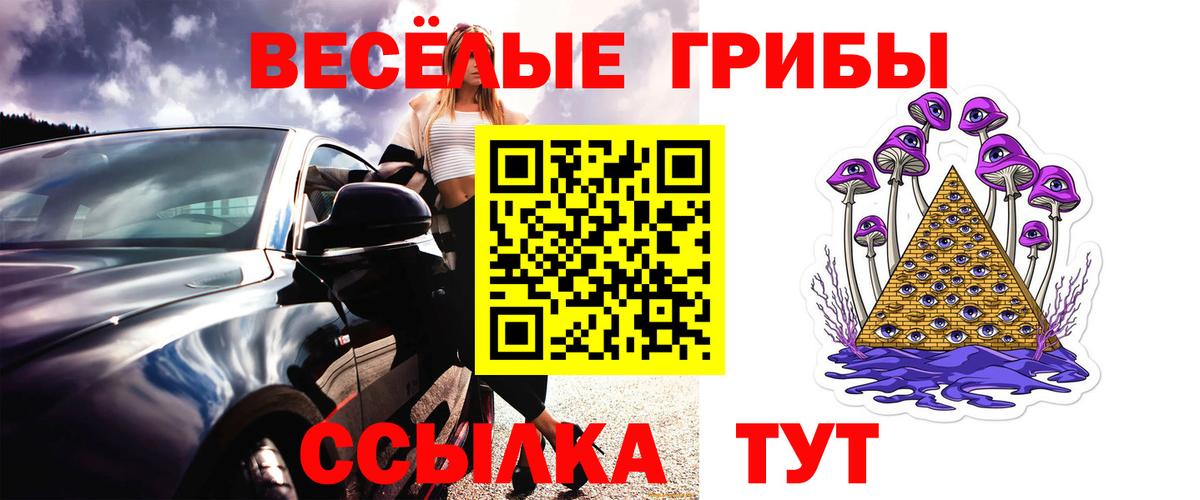 Псилоцибиновые грибы Cubensis Волгодонск